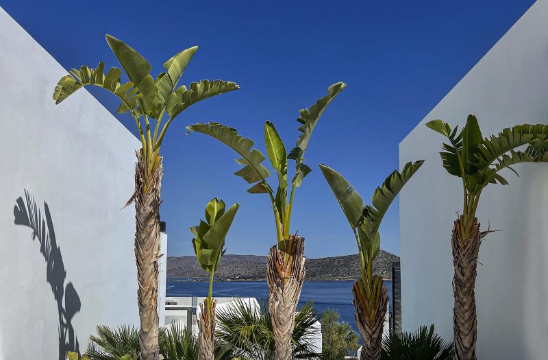 elounda mythica maisonette private pool sea view elounda mythica maisonette private pool sea view